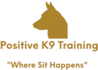 Positive K9 training "where sit happens"