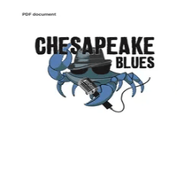 Chesapeake Blues Band