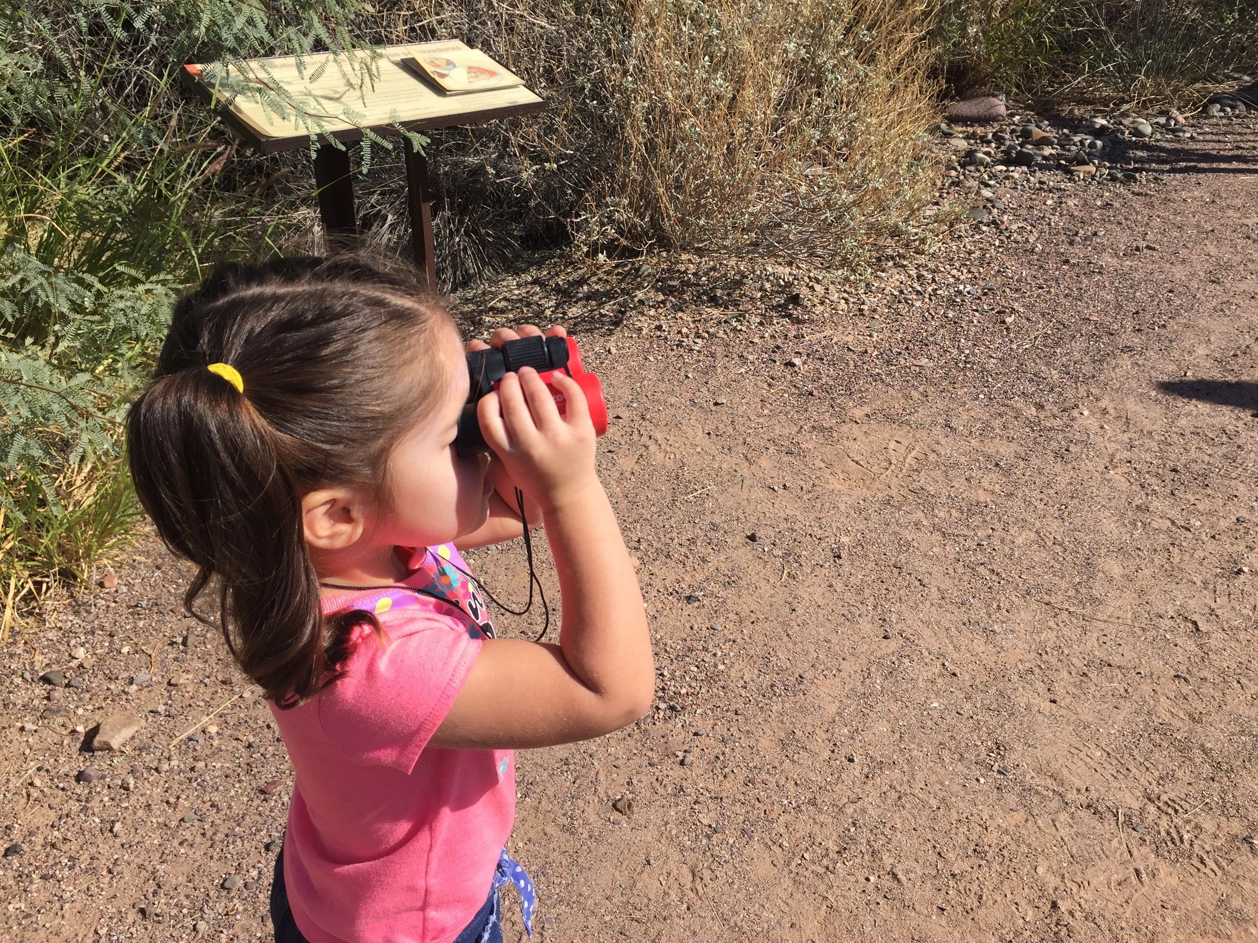  Foto zu The Kindergarten Journey 