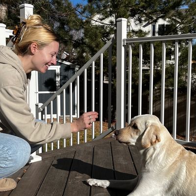 A woman squats on a wooden deck playing with a Labrador dog on a sunny day.
