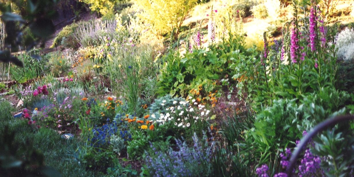 Perennial Garden Consultants colorful landscape design.