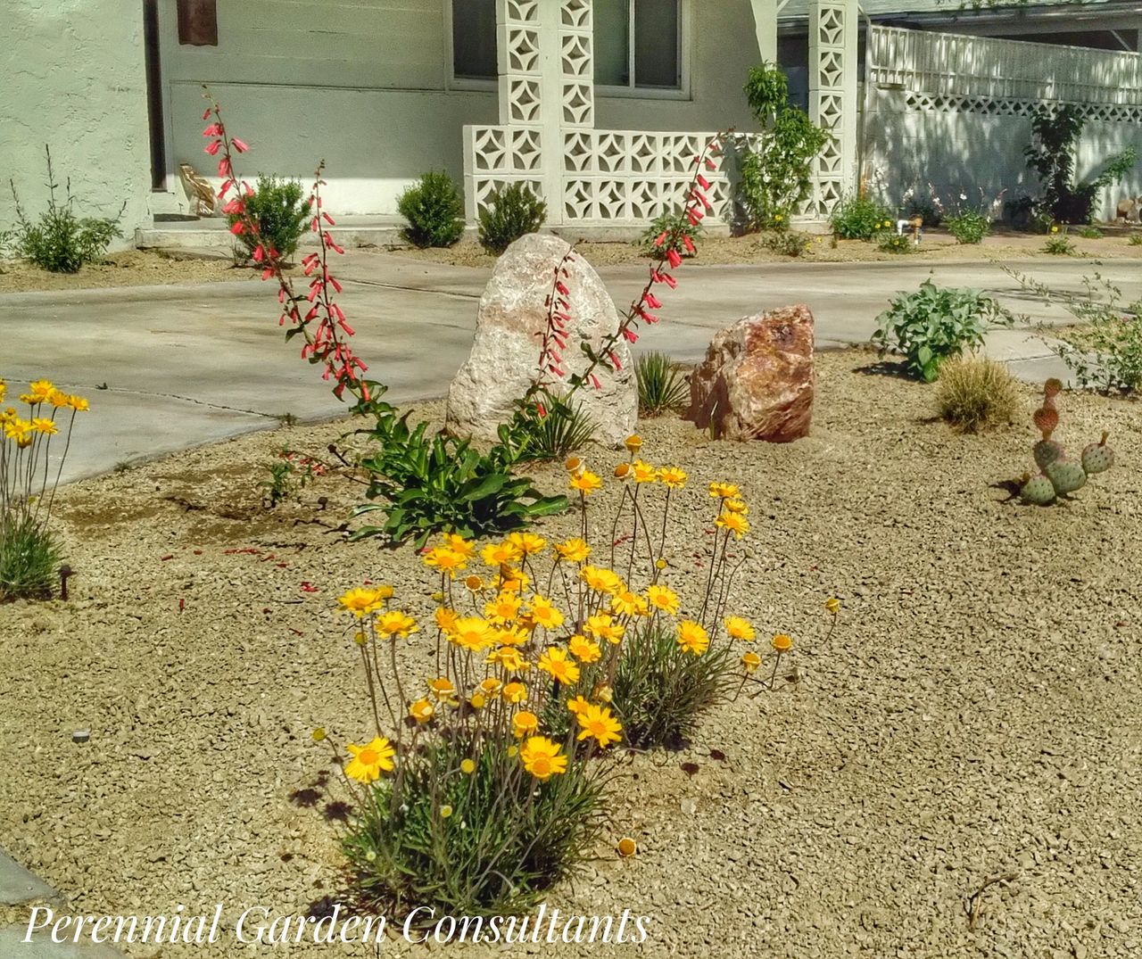 Customizable Landscape Design: the Meadow - Butterfly \u0026 Pollinator Garden |  Deer Resistant Landscape Design Zones 5-8 - Etsy, image size:1280x1075