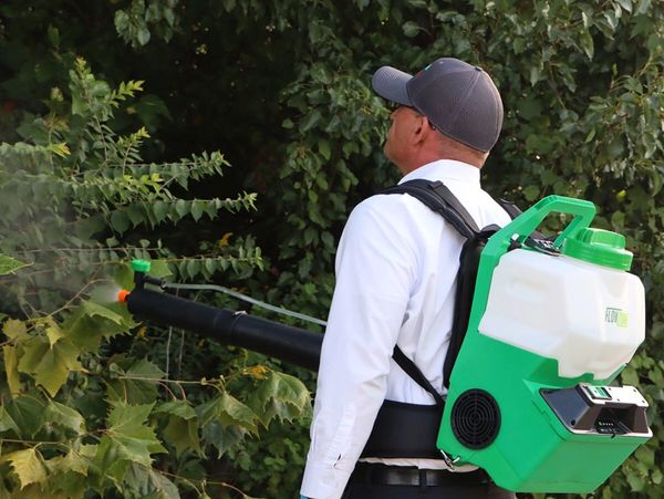 Man spraying plants with a backpack sprayer in a garden.