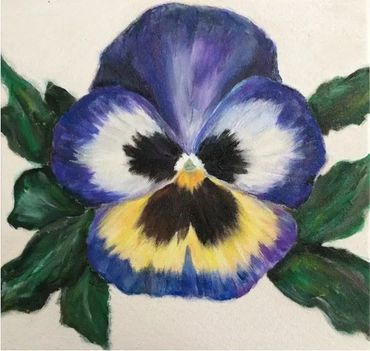 Blue Pansy