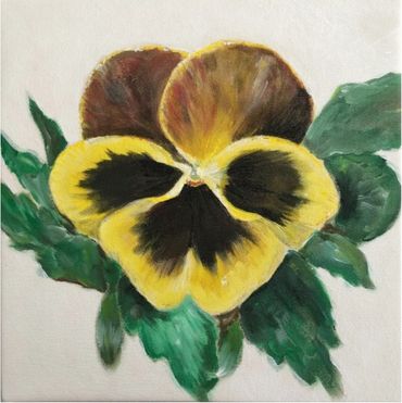 yellow pansy