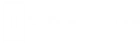 Ideal Business Consultant