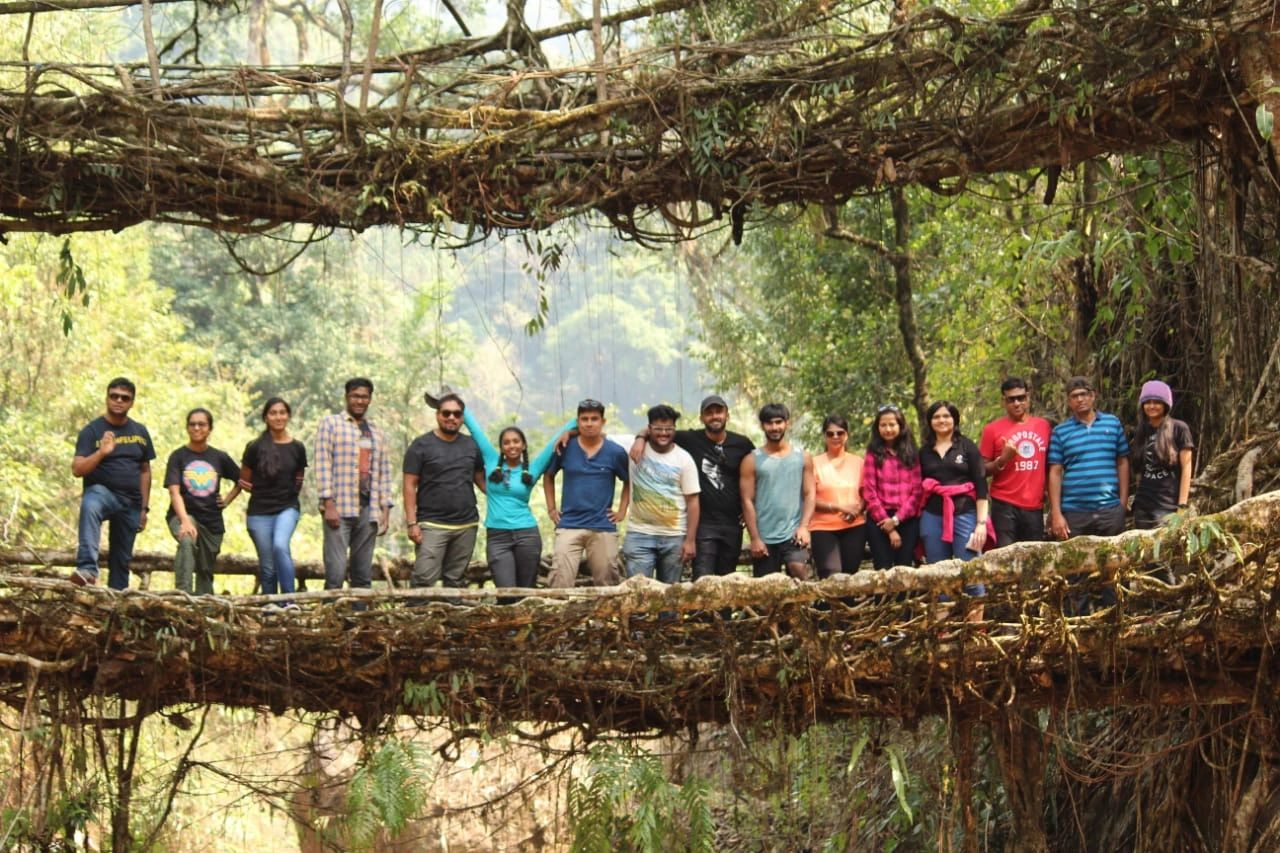 Living root bridges have a capacity of more than 50 people.