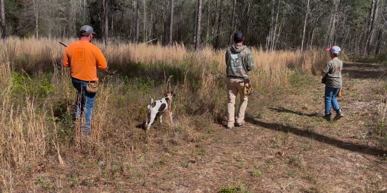 Three people and a dog walking in a grassy forest area.