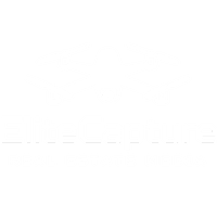 Elite Capture Media