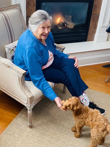 hello doggy at Suncrest adult care home West Linn Oregon