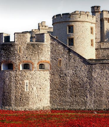 Ancient stone castle wall with red flowers at its base.