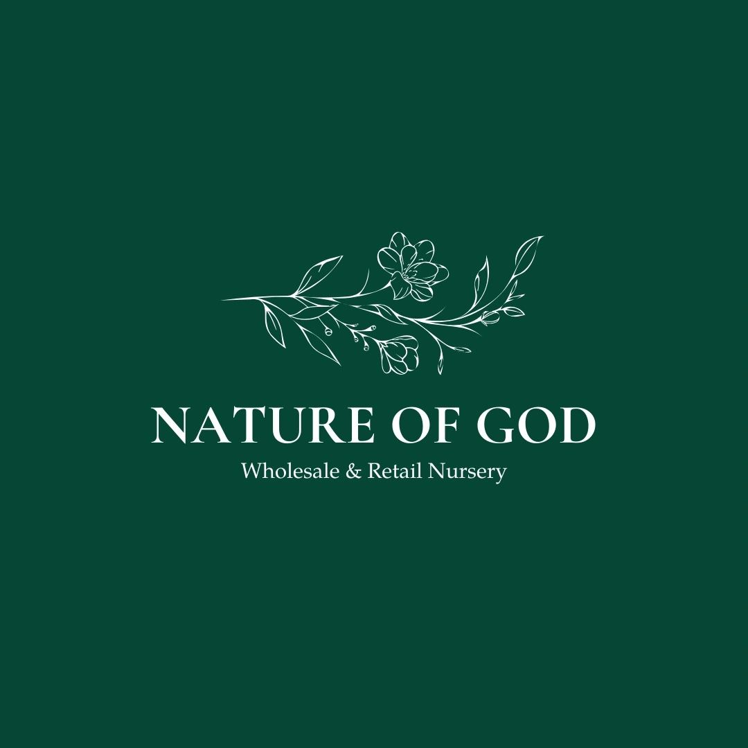 Nature of God