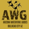 Arizona Waterfowl