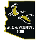 Arizona Waterfowl