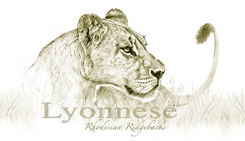 Lyonnese Rhodesian Ridgebacks