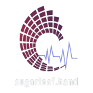 scprecording at
sugarloaf.band 