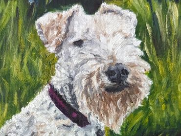 A vibrant portrait of a white, short haired dog with a bushy beard sat in a summer garden.
