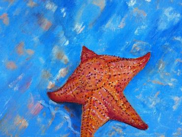 This vivd oil painting contrasts a glistening orange starfish with charming mottled blue wooden deck