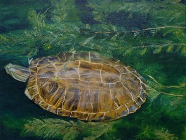 A placid oil painting of a turtle gliding over deep green water plants beneath the water's surface.