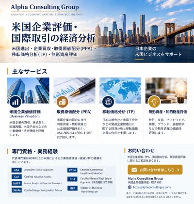米国企業評価と国際取引経済分析のコンサルティングサービス案内。