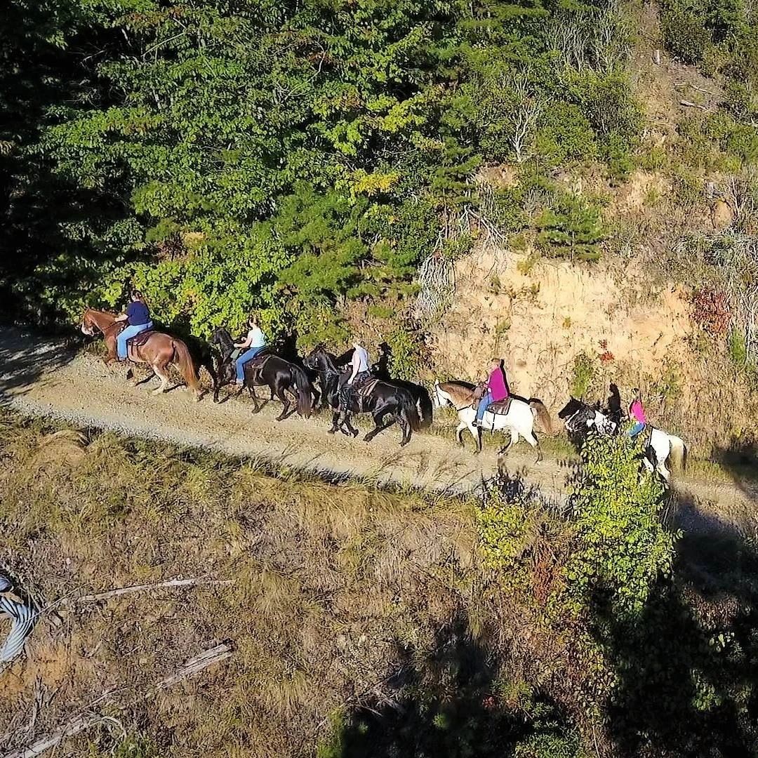 Horseshoe Creek Riding Stables Horseback Riding, Boarding Facility