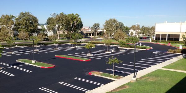 A parking space with proper pavement and green trees