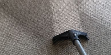 Carpet cleaning