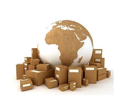 Domestic Shipping