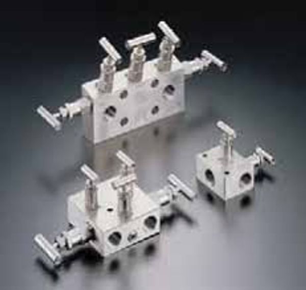 Remote and Flanged Manifolds