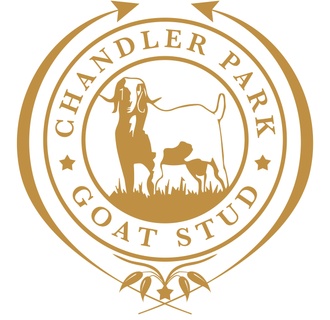 Chandler Park Goat Stud