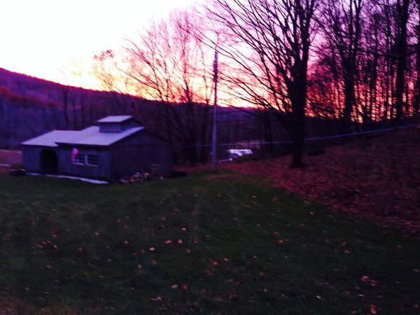 Sunrise at GG's Sugar House