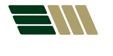 Logo of Dominion Motorsports with stylized wings and bold text.