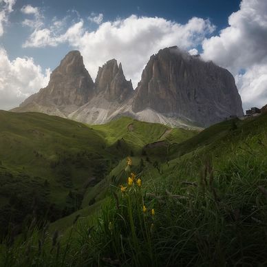 Expansive studies of light, atmosphere, and the quiet presence of the natural world.