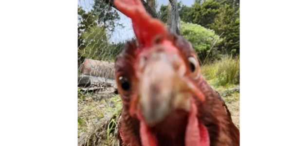 We will update here our new products, our activities and so on. 