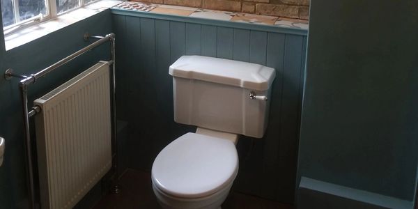 Toilet against a blue tong and grove panel with a bare brick section above