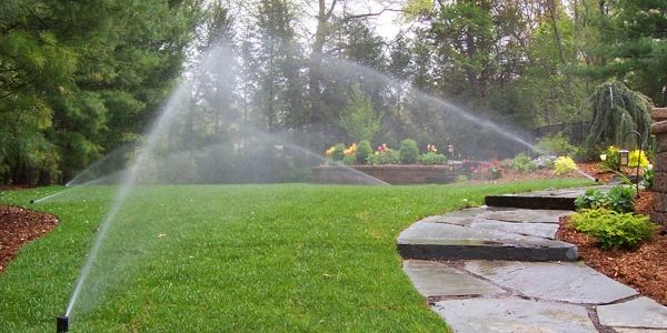 Our technicians will make the necessary adjustments to optimize your Irrigation coverage.