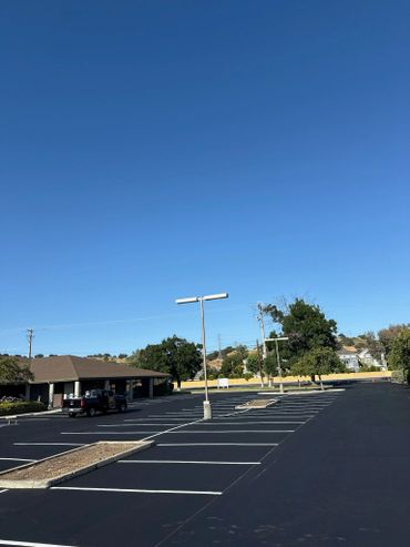 Empty parking lot with clear blue sky and a few trees.