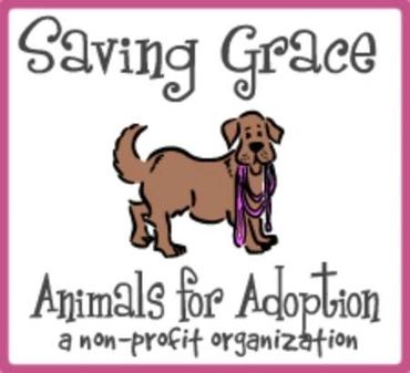 Logo of Saving Grace Animals for Adoption with a dog illustration.