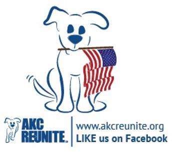 Logo of AKC Reunite with a dog holding an American flag.