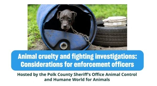 Dog chained inside a barrel with animal cruelty investigation text.