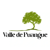 Valle de Puangue