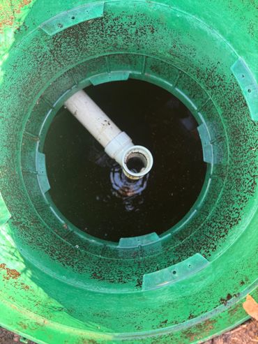 Top view of a green plastic container with a pipe inside filled with dark liquid.