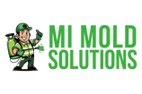 MI Mold Solutions
