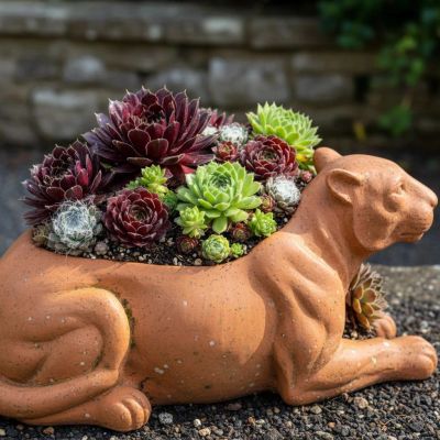 Succulent plants in a terracotta panther planter.