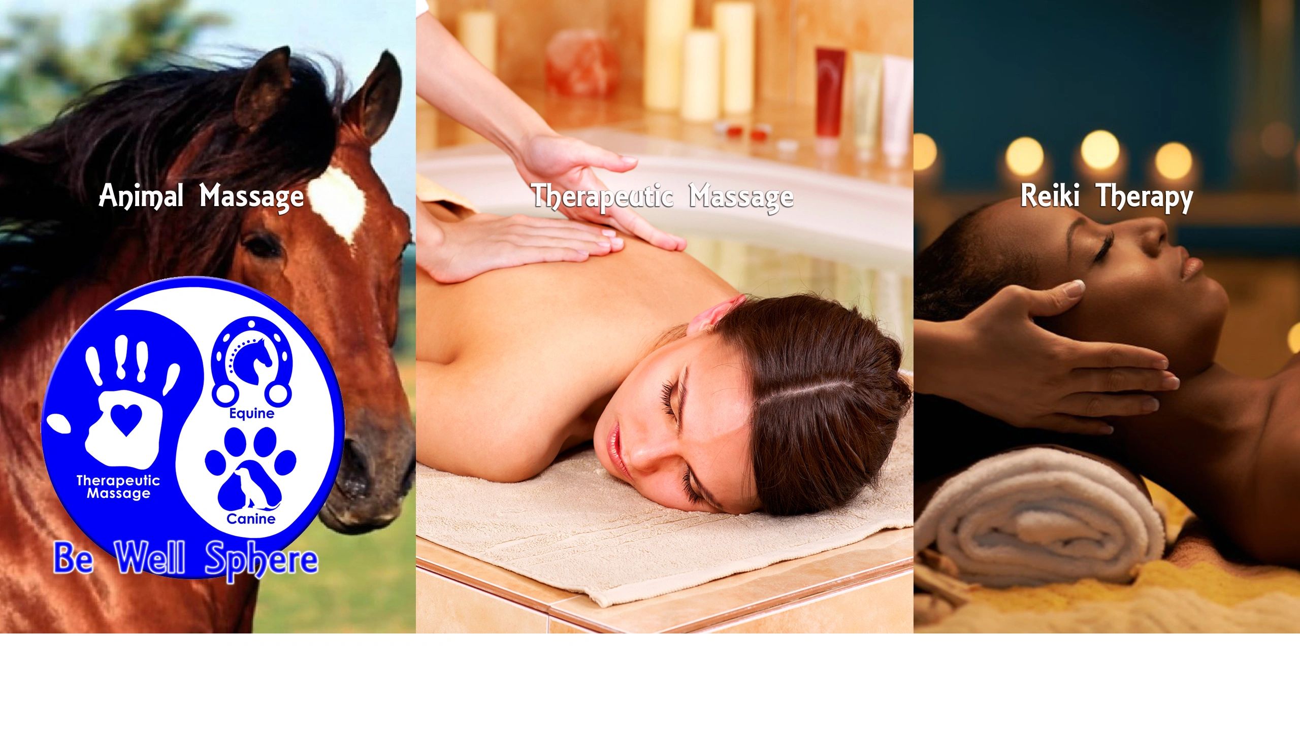 Therapeutic Massage San Diego Reiki Equine Dog Massage