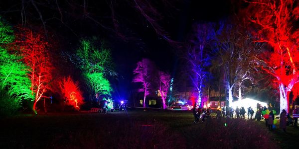 Trees illuminated in vibrant colors during a nighttime outdoor event.