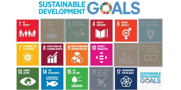 ESG Sustainable development goals from United Nations