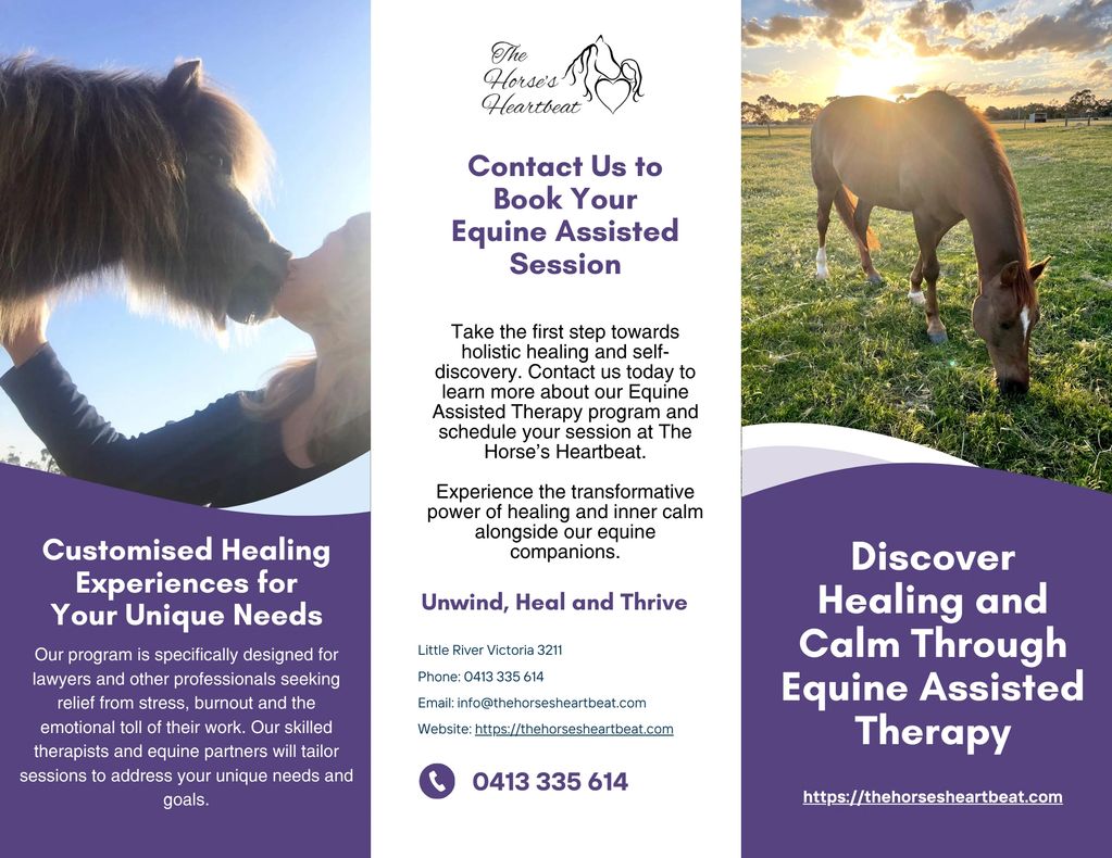 Equine Assisted Therapy for Lawyers and other professionals in Melbourne, Geelong & western Victoria