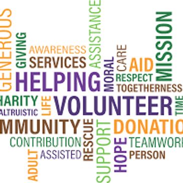 Sarasota Florida Charitable Giving