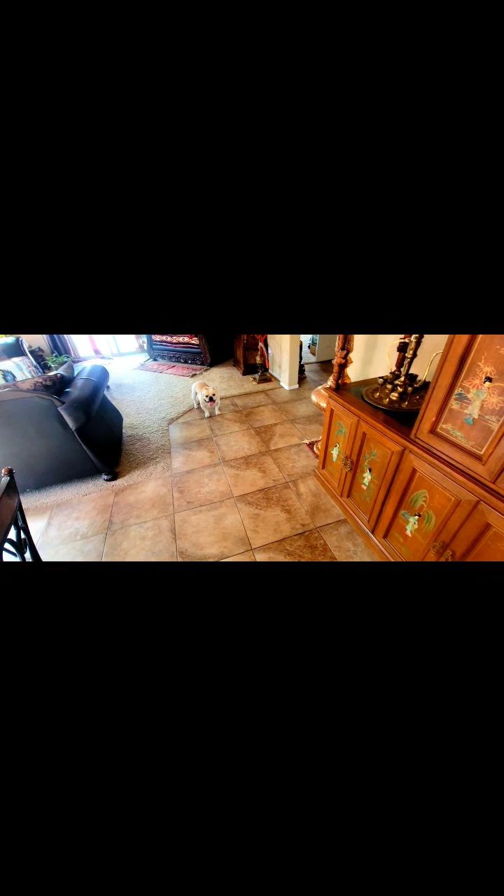https://img1.wsimg.com/isteam/ip/6c2c7bef-1797-41f2-a5b9-be9b60232903/thumbnails/thumbnail-c0465789-fb3d-4ab9-80f2-db0d3ee9c918.png